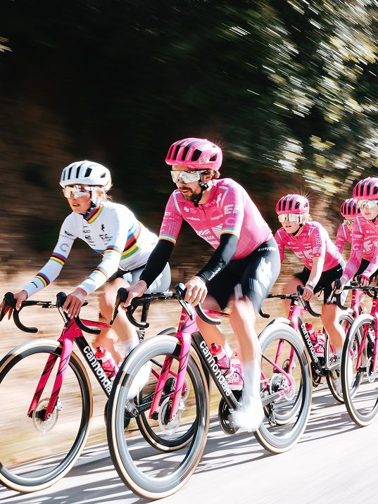 Road cyclists riding road bikes